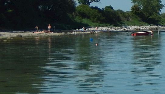 Nyheder